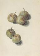 Edouard Manet Etude de cinq prunes (mk40) Spain oil painting artist